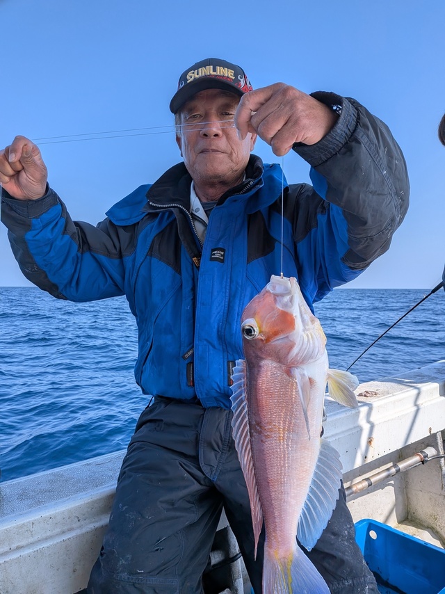 アマダイ(アカアマダイ)