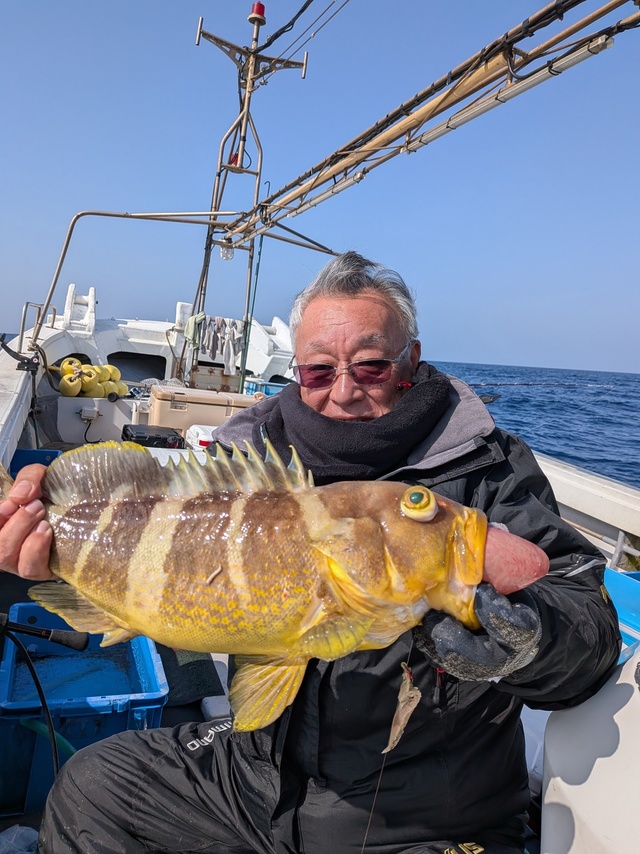 アオナ(アオハタ)