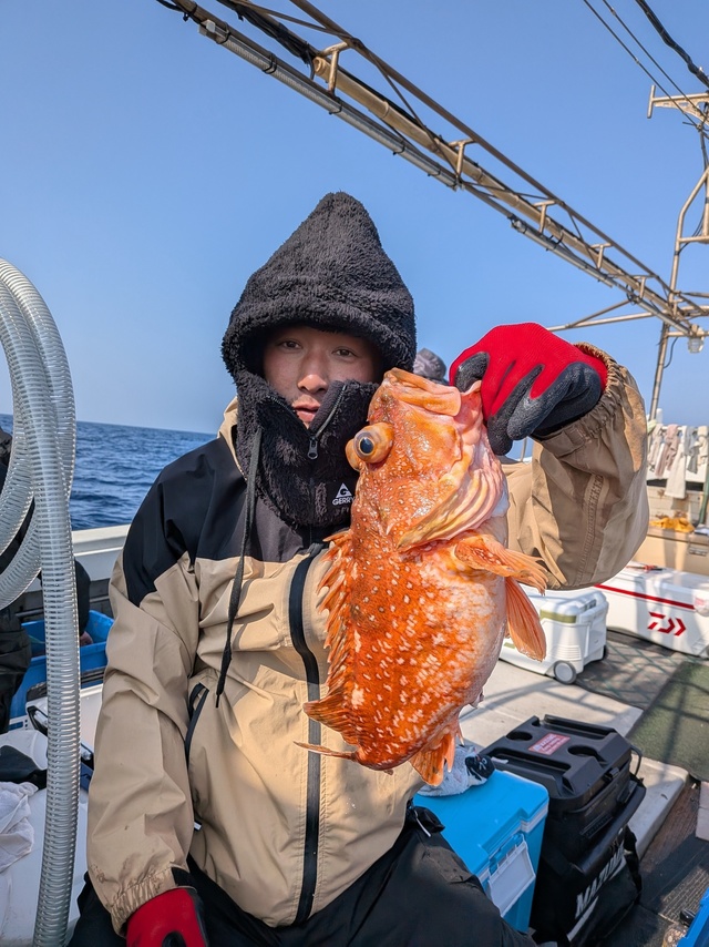 アラカブ(カサゴ)