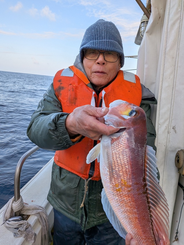 アマダイ(アカアマダイ)