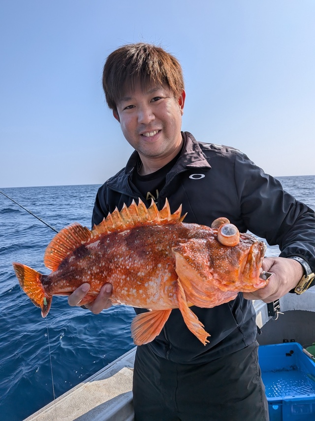 アラカブ(カサゴ)