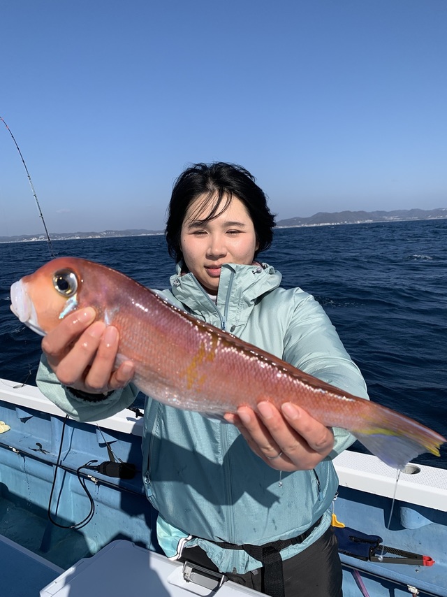 アマダイ(アカアマダイ)