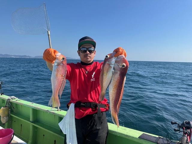 アマダイ(アカアマダイ)