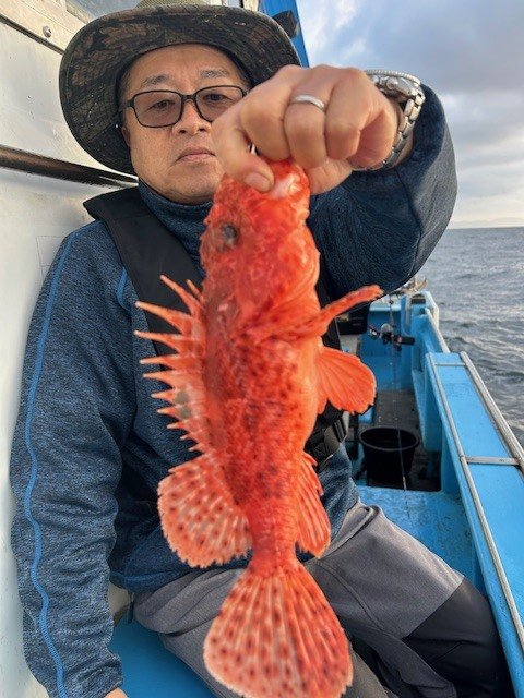 カンコ(ウッカリカサゴ)