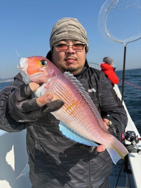 アマダイ(アカアマダイ)