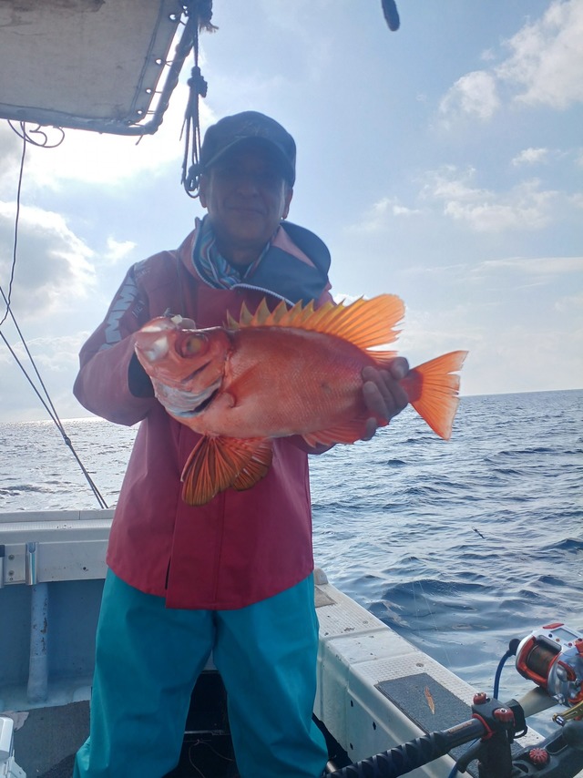 チカメキントキ