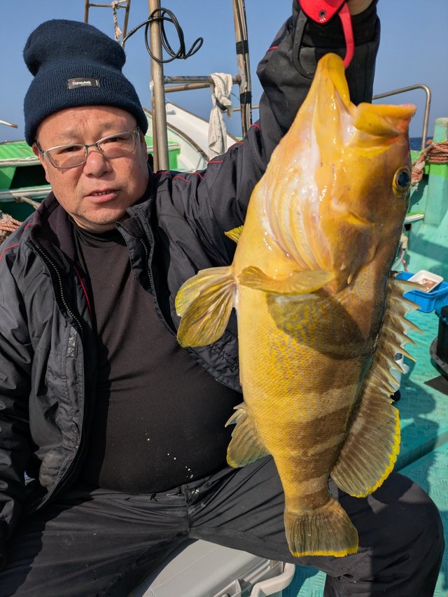 アオナ(アオハタ)