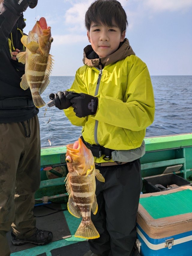 アオナ(アオハタ)