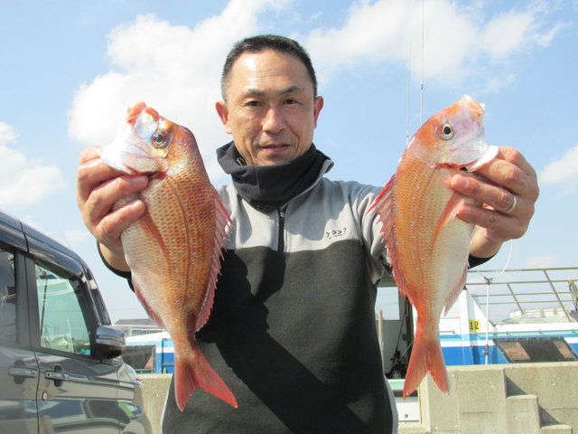 ハナダイ(チダイ)