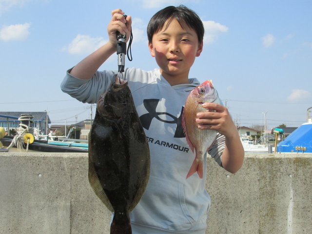 ハナダイ(チダイ)・ヒラメ