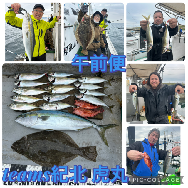 アジ(マアジ)・メジロ(ブリ)・ガシラ(カサゴ)・ヒラメ