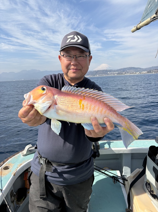 アマダイ(アカアマダイ)