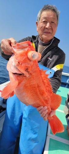 メヌケ(アコウダイ)