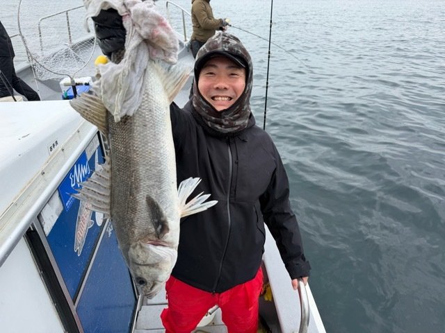 シーバス(スズキ)