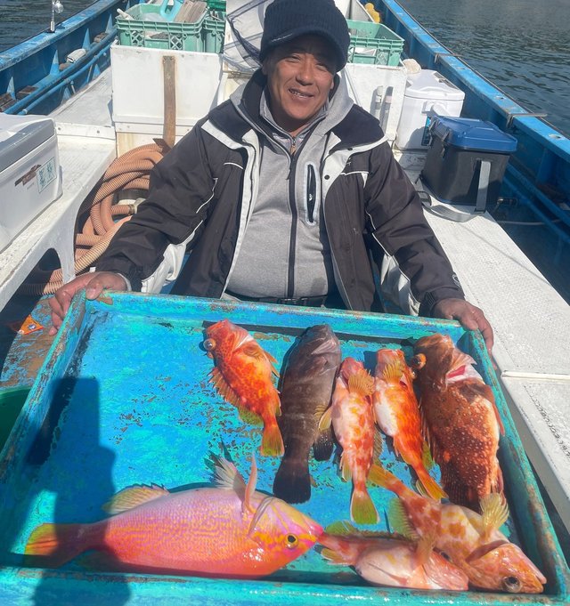 マハタ・カンコ(ウッカリカサゴ)・アヤメカサゴ