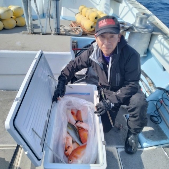 アカイサキ・イサキ