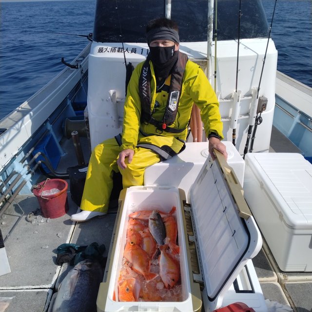 アカイサキ・イサキ