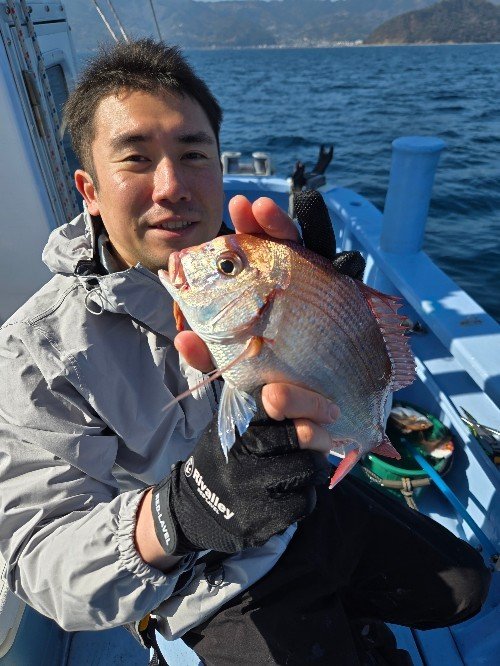 ハナダイ(チダイ)