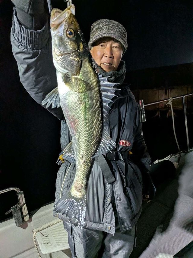 シーバス(スズキ)