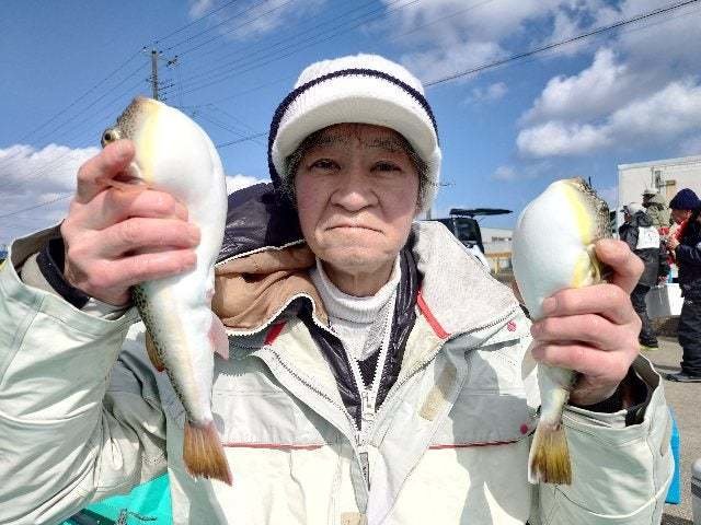 ショウサイフグ