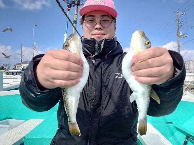 ショウサイフグ