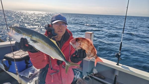 マダイ・イナダ(ブリ)