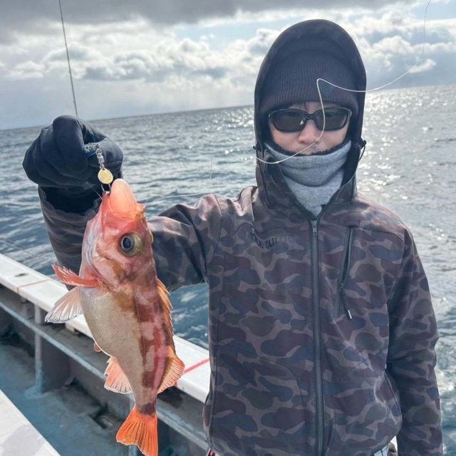 ヤナギ(ウスメバル)