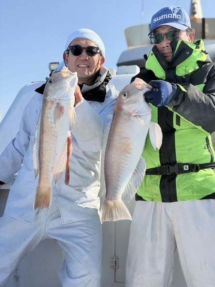 アマダイ(アカアマダイ)