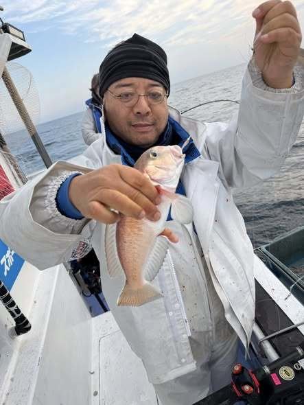 アマダイ(アカアマダイ)