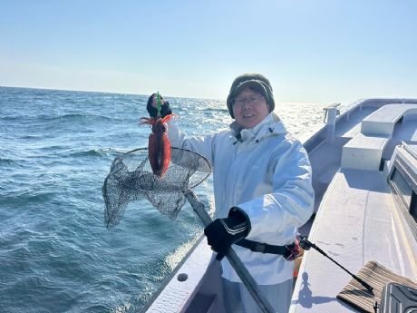 スミイカ(コウイカ)