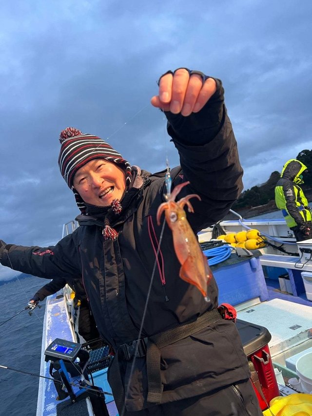 マルイカ(ケンサキイカ)