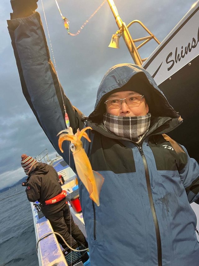 マルイカ(ケンサキイカ)