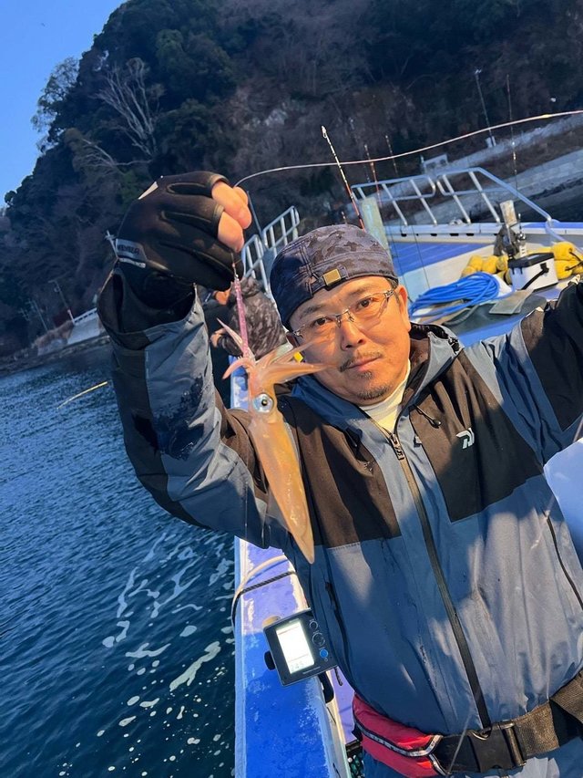 マルイカ(ケンサキイカ)