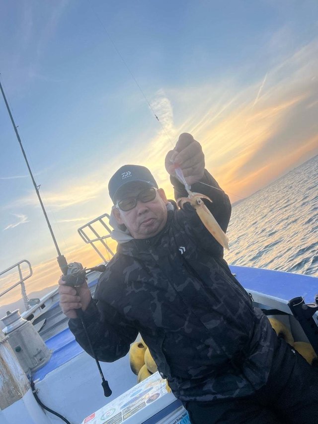 マルイカ(ケンサキイカ)