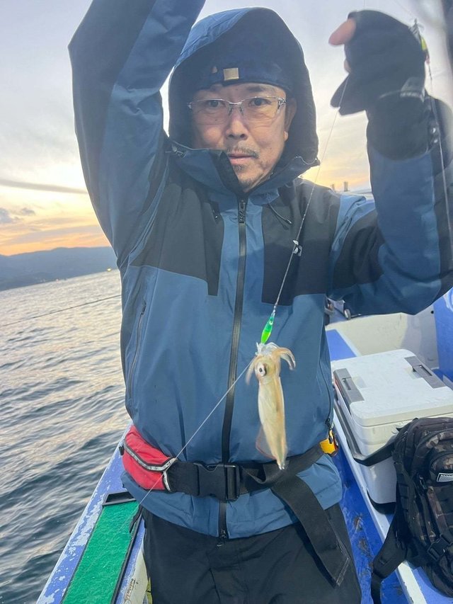 マルイカ(ケンサキイカ)