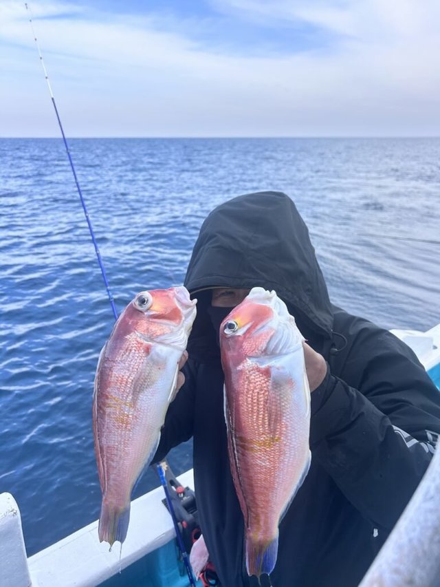 アマダイ(アカアマダイ)