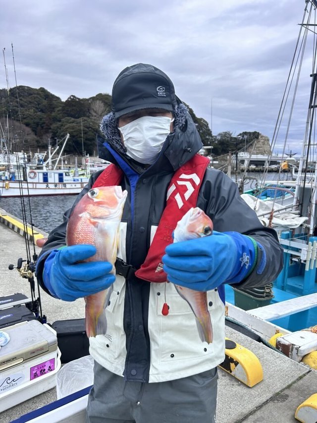 アマダイ(アカアマダイ)