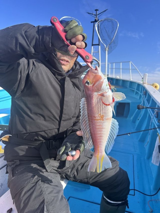 アマダイ(アカアマダイ)