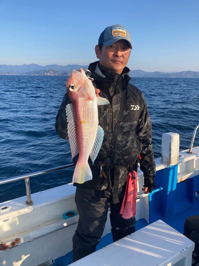 アマダイ(アカアマダイ)