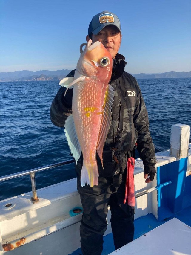 アマダイ(アカアマダイ)