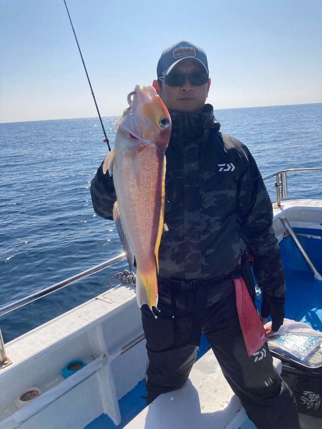 アマダイ(アカアマダイ)