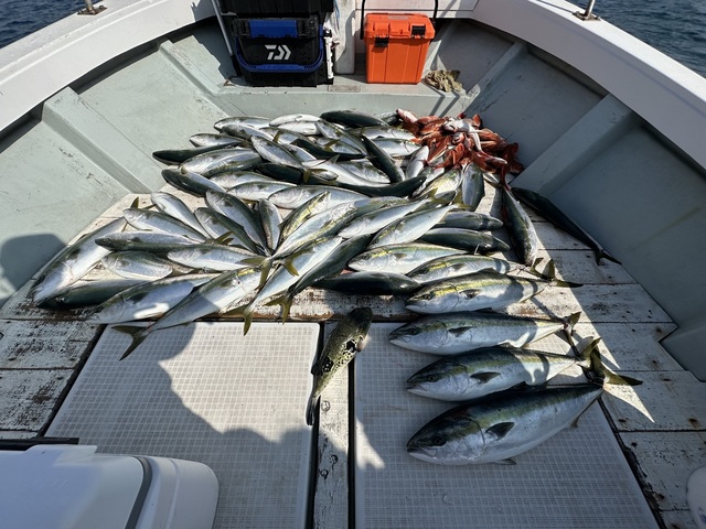 イナダ(ブリ)・ワラサ(ブリ)・ホウボウ・トラフグ