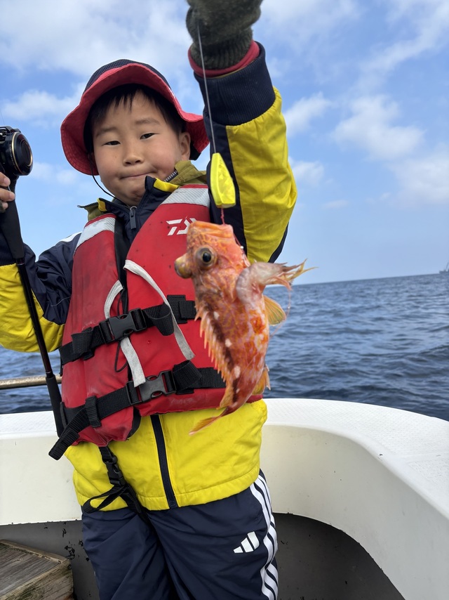 アラカブ(カサゴ)