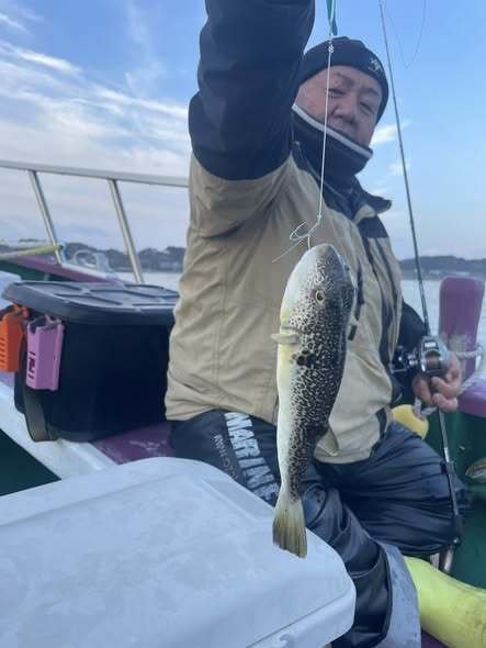 ショウサイフグ