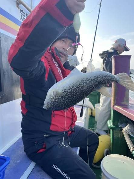 ショウサイフグ