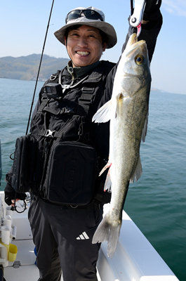 シーバス(スズキ)