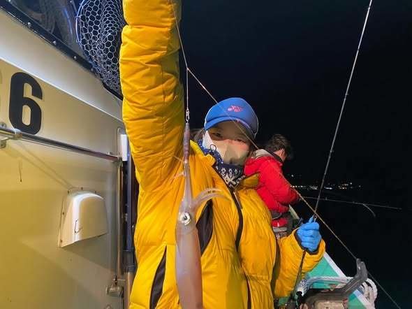 マルイカ(ケンサキイカ)