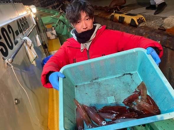 マルイカ(ケンサキイカ)