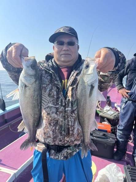 シーバス(スズキ)