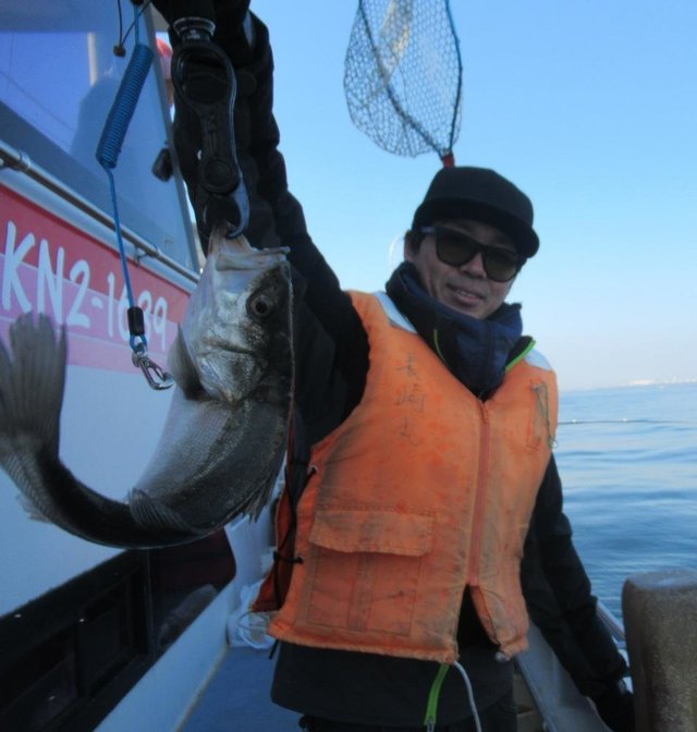 シーバス(スズキ)